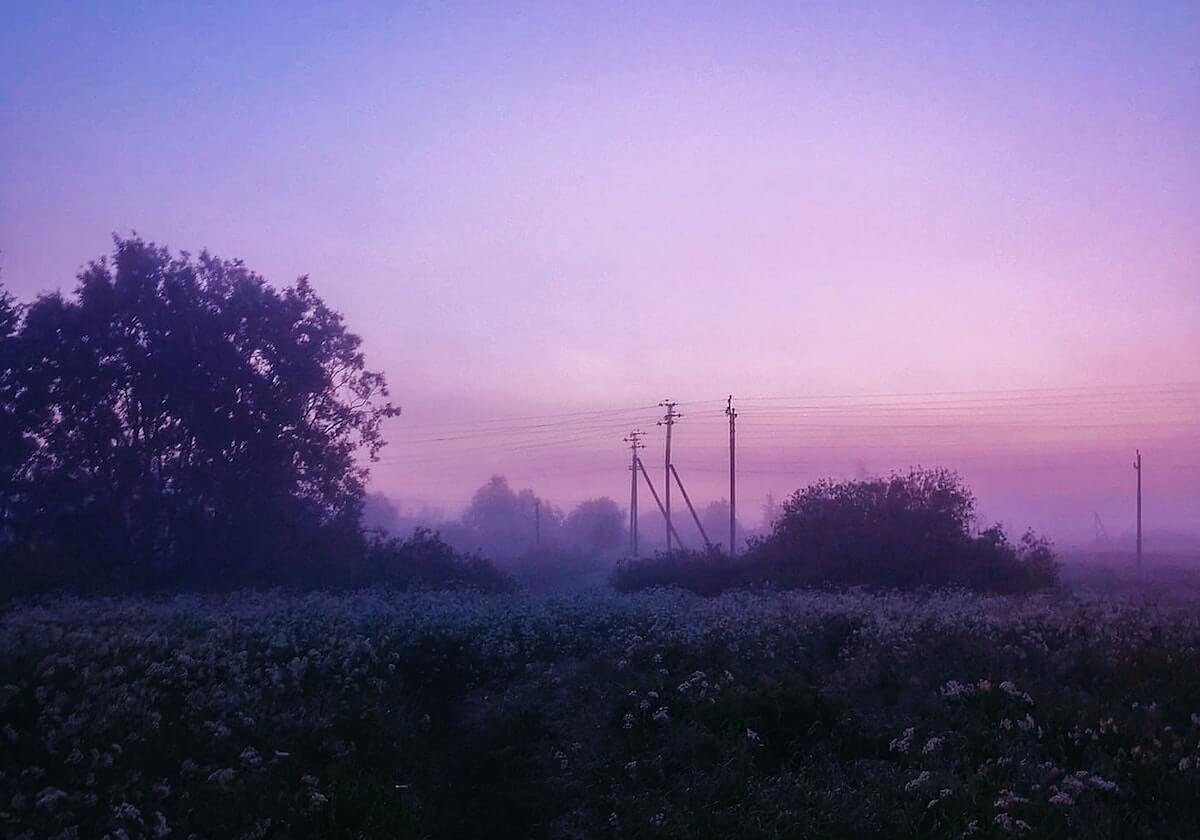 虫虫漫画里的信息为什么显得很确定：关于情绪铺垫的把概念画成流程