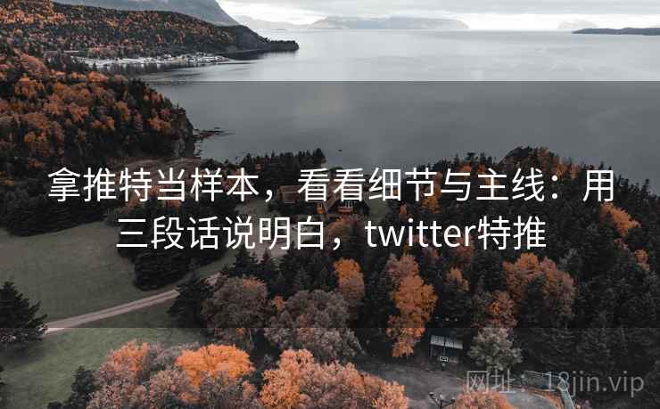 拿推特当样本，看看细节与主线：用三段话说明白，twitter特推